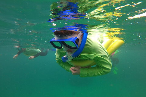 Manly Snorkel Trip And Nature Walk With Local Guide - Accommodation Search 5