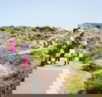 Margaret River Coastal and Wildlife Eco Trip from Busselton or Dunsborough - Accommodation Search